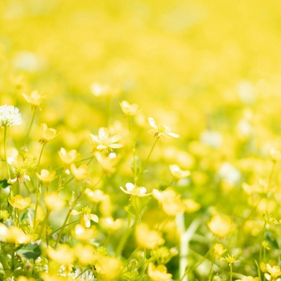 A Journey into Alternative Counselling Methods